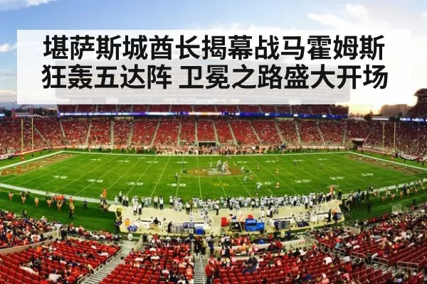 NFL stadium crowd