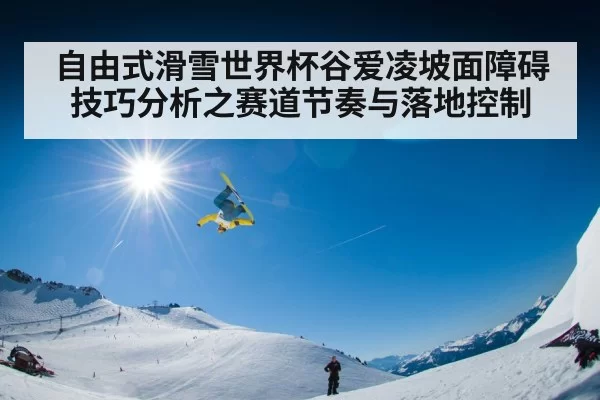 自由式滑雪世界杯谷爱凌坡面障碍技巧分析之赛道节奏与落地控制
